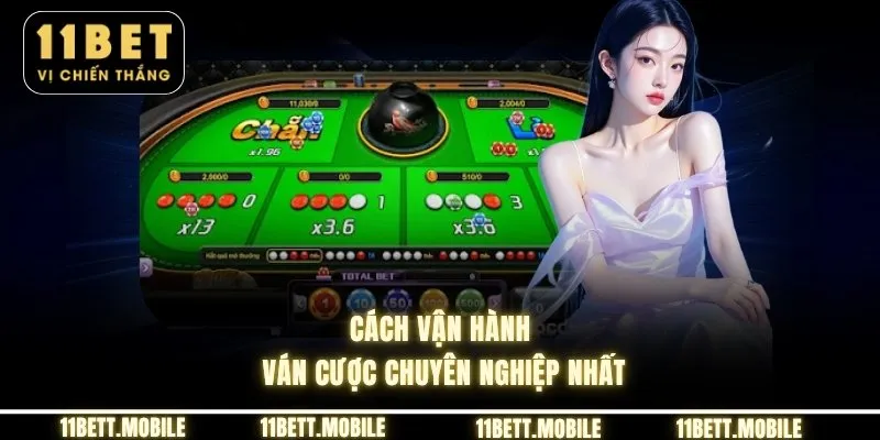 » Cách vận hành ván cược chuyên nghiệp nhất